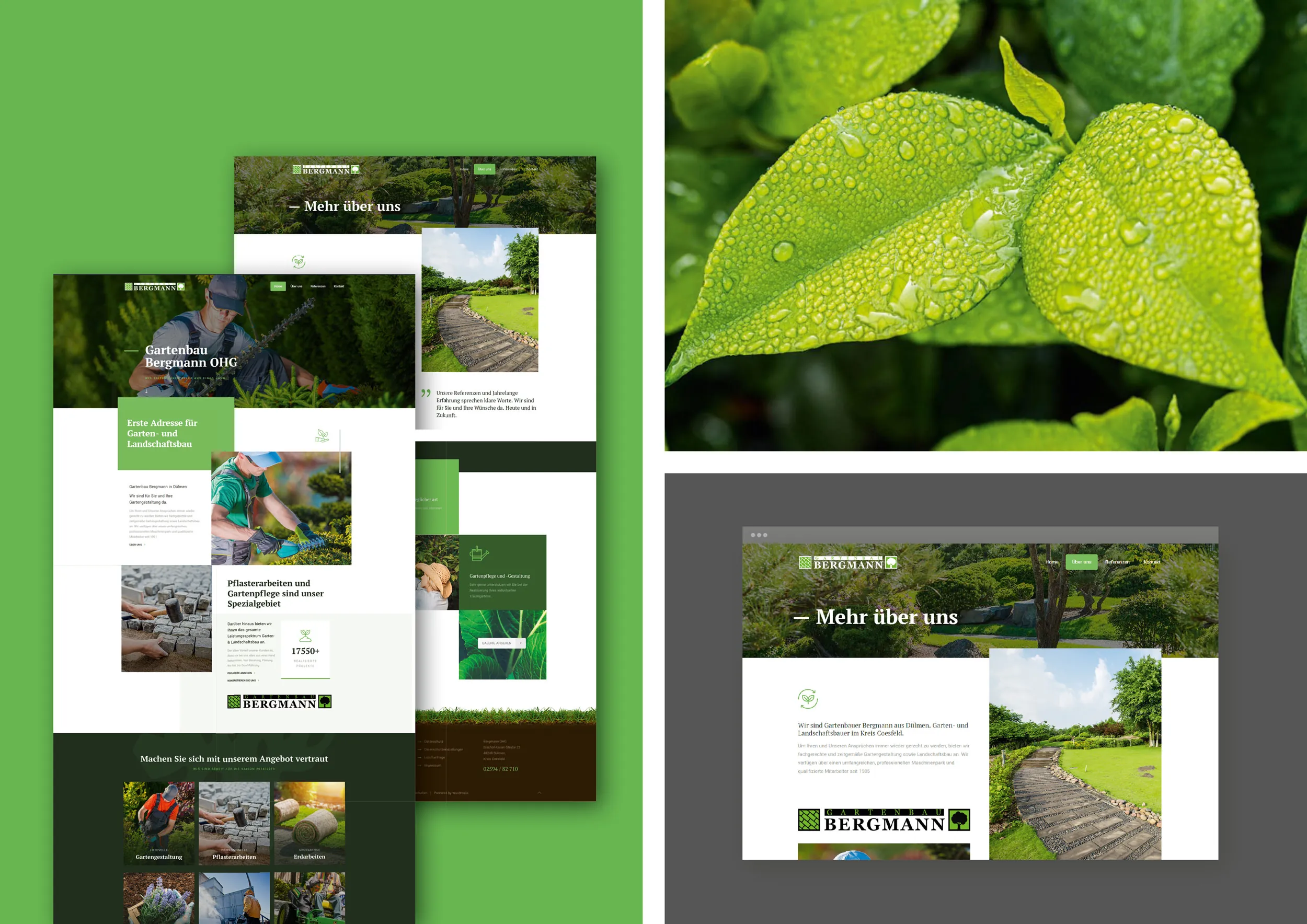 Gartenbau Webdesign Leistungsübersicht