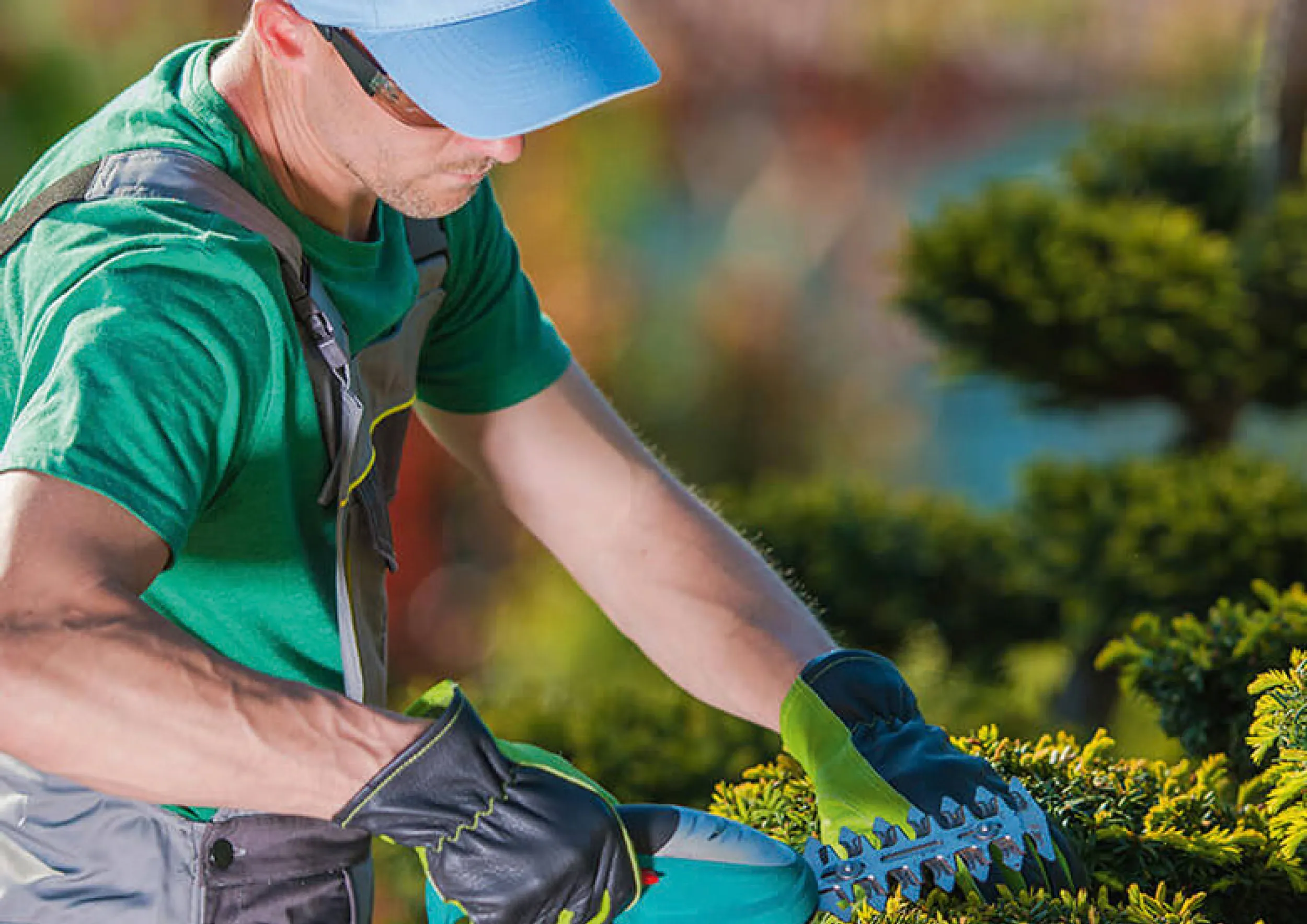 Gartenbau Corporate Design Materialien